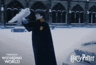 Harry Potter GIF