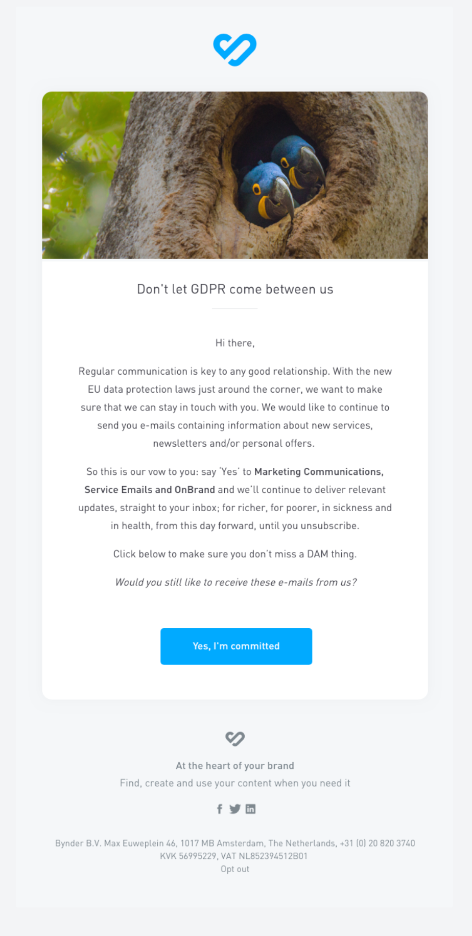 renewal email from Bynder
